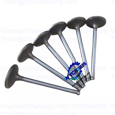 Cummins C3924492 intake valve for 6CTA8.3 engine