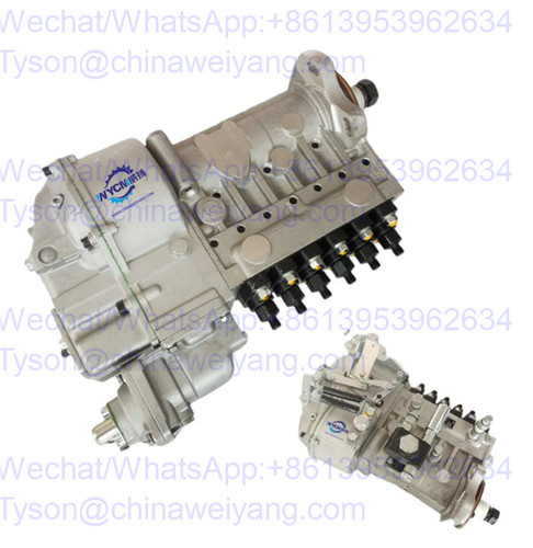 612601080879 fuel injection pump for Weichai WD10 engine