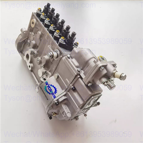 Shanghai CP10Z-P10Z022+A fuel injection pump