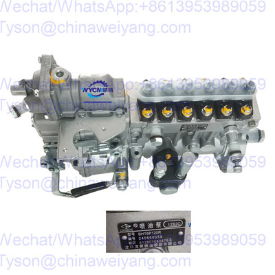 Weichai 612601080878 fuel injection pump 4110001016014 for L956 wheel loader