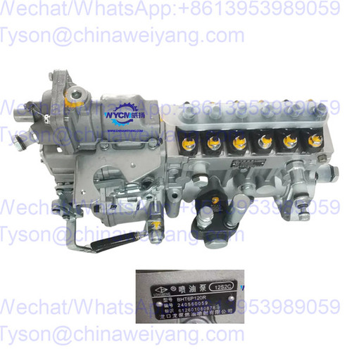 Weichai 612601080878 fuel injection pump 4110001016014 for L956 wheel loader