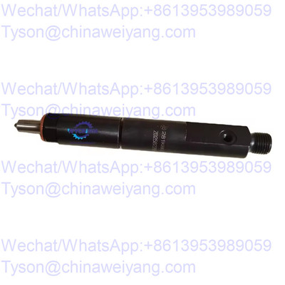 13053066 injector for Deutz TD226B Weichai WP6 engine