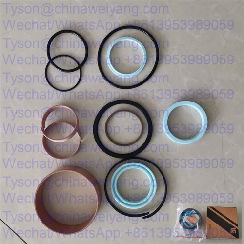 SP182548 lifing cylinder seal kit for Liugong CLG856 wheel loader