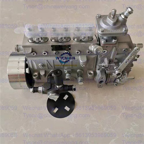 J8004-1111100A-493 Fuel injection pump for Yuchai engines