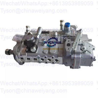 13053063 Fuel Injection Pump B6AD548G-R for Weichai WP6 Engine