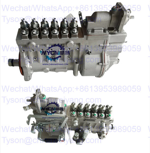 612601080591 Fuel Injection Pump for Weichai WD10 Engine