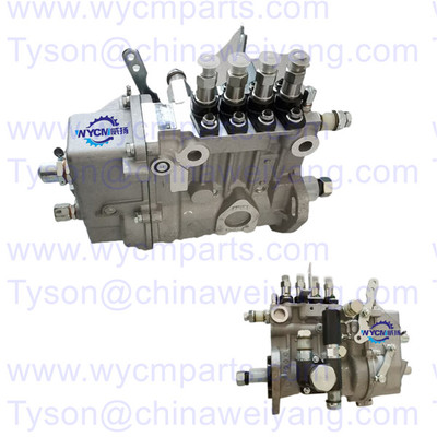 1001223985A fuel injection Pump for Weichai WP2.3D33E200 Engine