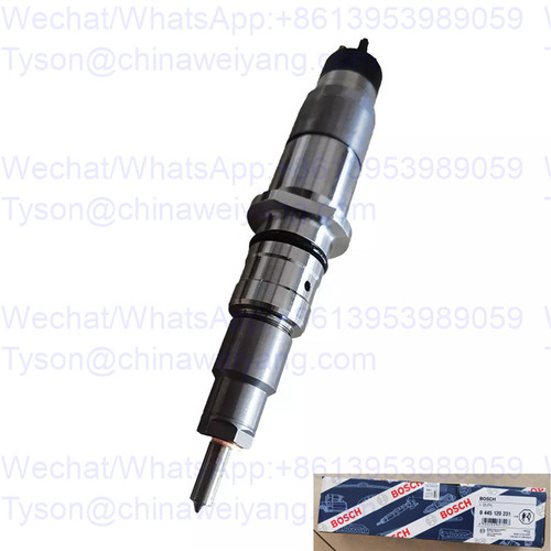 0445120231 injector for Volvo EC210 excavator