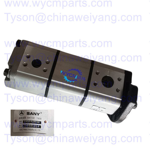 150107020054A Gear Pump for Sany Truck Pump