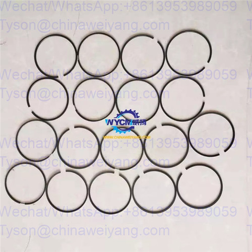 Liugong  Piston ring SP129256 for CLG856 wheel loader