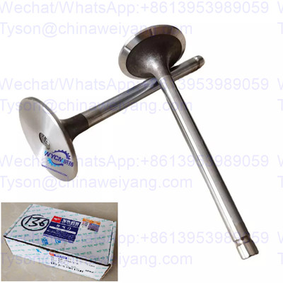 D30-1003111B Intake Valve for Yuchai YC6J125Z-T21 engine