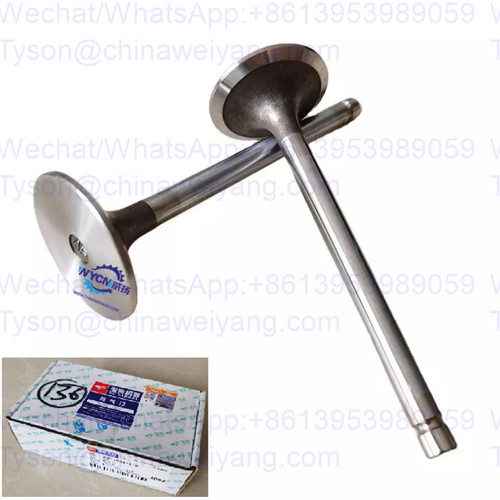 D30-1003111B Intake Valve for Yuchai YC6J125Z-T21 engine