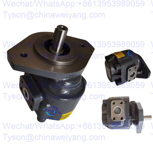 LG816.02.02.07 Gear Pump 60301000026 for CDM816 Wheel Loader