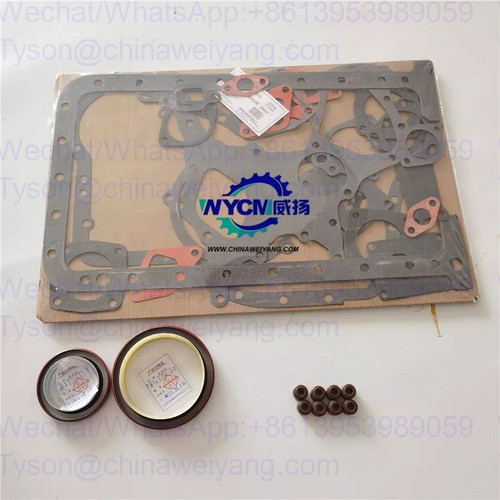 YTO repair kits complete gasket for LT4105 engine