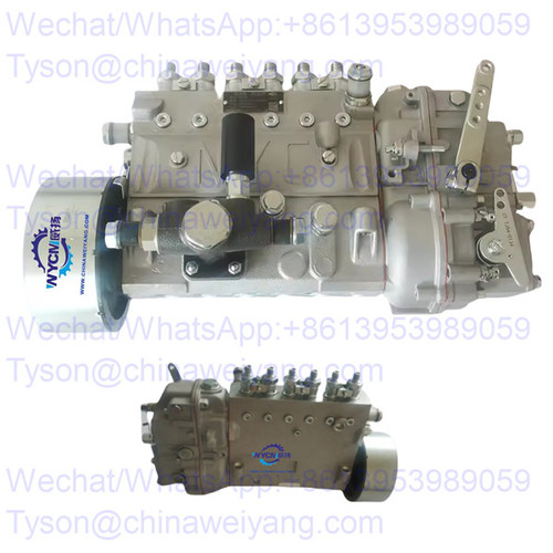 J8000-1111100A-493 Fuel injection pump for Yuchai YC6J125Z-T20 engine