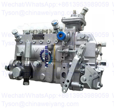 13056020 injection pump for Weichai WP6G125E22 TD226B engine