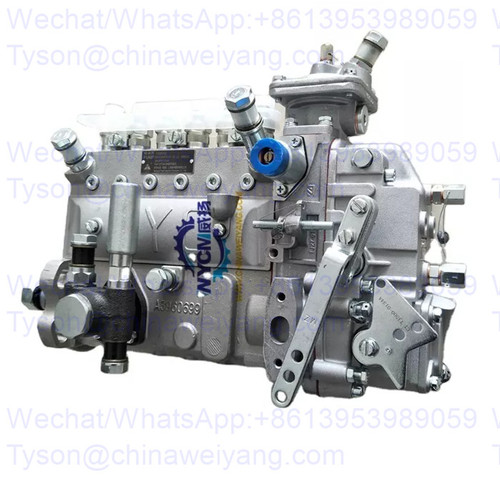 13056020 injection pump for Weichai WP6G125E22 TD226B engine