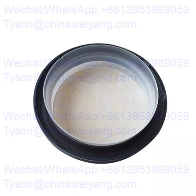 Shanghai crankshaft rear oil seal D02A-118-02B for D4114 engine