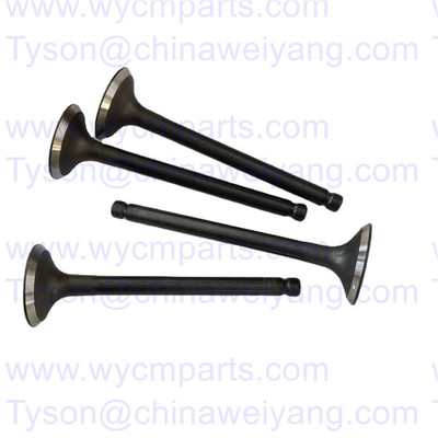 2014288 2014289 Inlet Valve Exhaust Valve for Weichai WP2.3D33E200 Engine