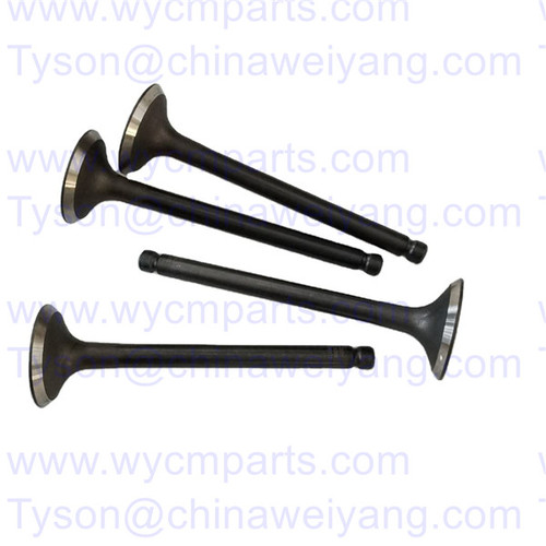 2014288 2014289 Inlet Valve Exhaust Valve for Weichai WP2.3D33E200 Engine