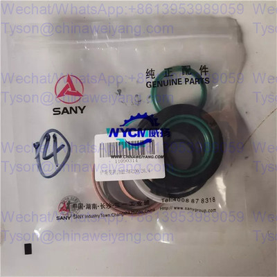 Sany 11090314 seal kit repair kit for grader