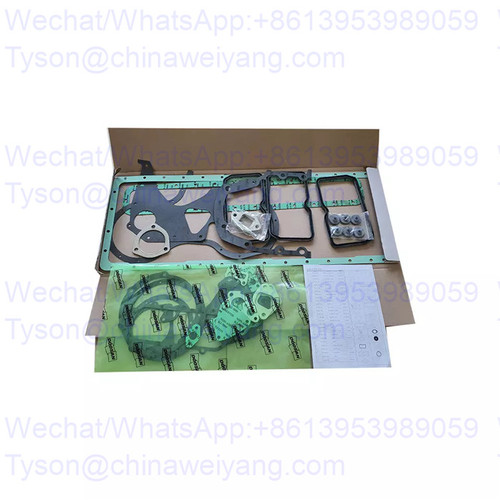 Doosan DE08TIA D1146 full gasket kit 65.00900-1146 for DX225 excavator