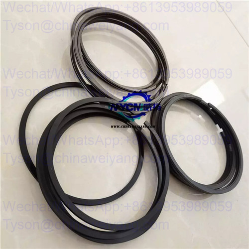 C05AL-1006694 10006695 610499 piston ring group for Shanghai  C6121 SC11 engine