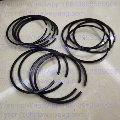 Shanghai piston ring F-D05-01Y for D4114 engine