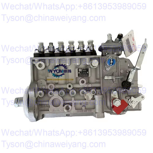 BYC Pump 5268202 Injection Pump for Liugong CLG856 Wheel Loader