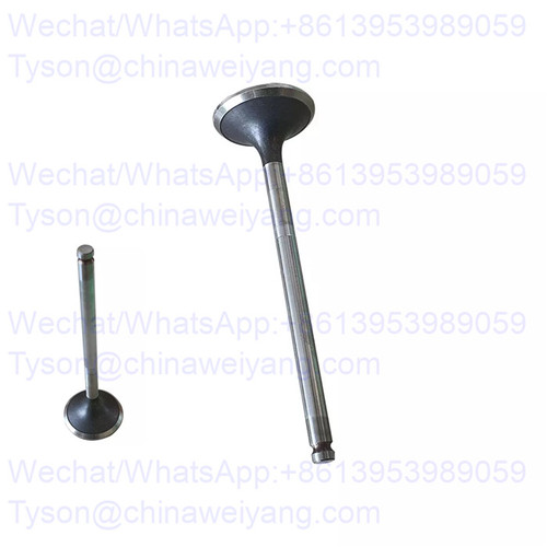 Doosan D1146 DE08TIA exhaust valve 65.04101-0042 for DX225 excavator