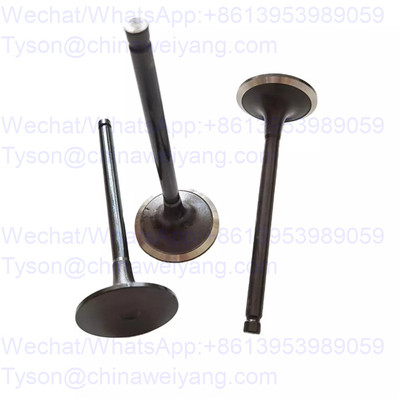 DCEC intake valve C4995554 for Cummins 4BT engine