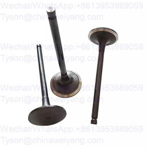 DCEC intake valve C4995554 for Cummins 4BT engine
