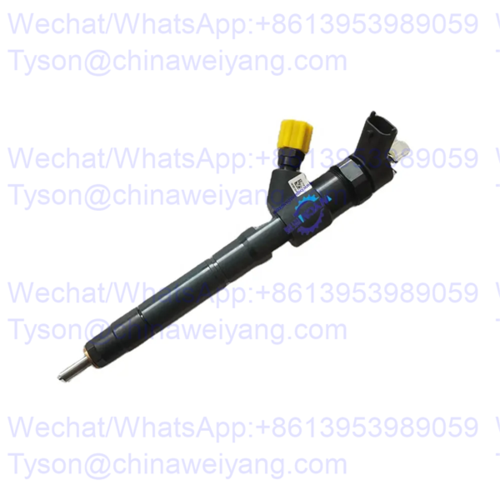 X10001738 Injector NF13.1for Yunnei Engines